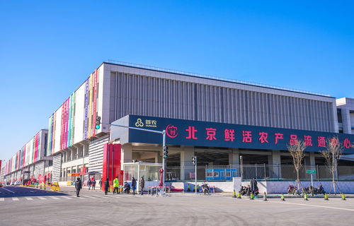 山東蘭陵蔬菜將規?；M京