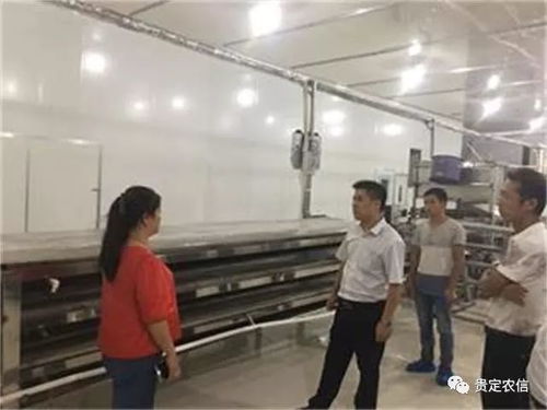 北京貴州米粉廠里的 金融夜校